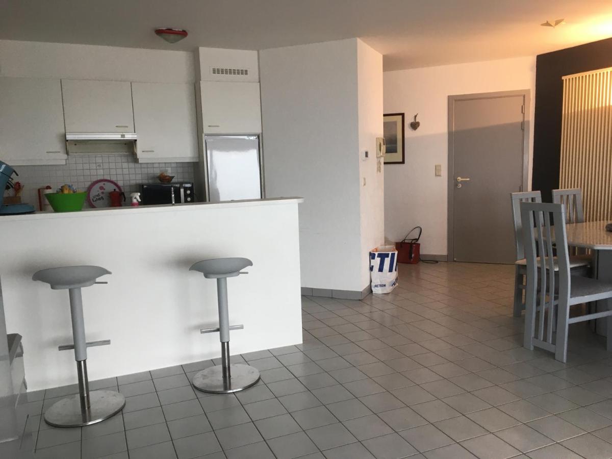 Appartement Spacieux Vue Sur Mer 布兰肯贝赫 外观 照片